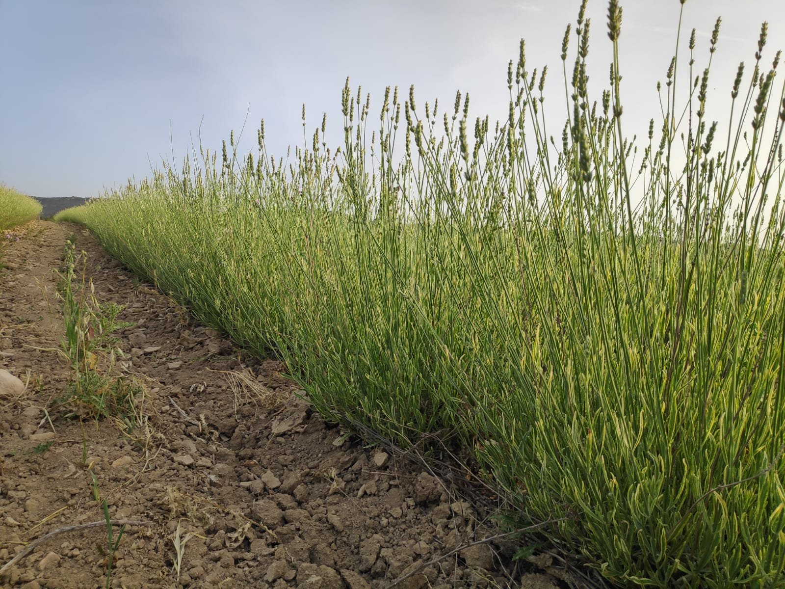 2549344a 282a 45ec a147 ce544a64ca9a