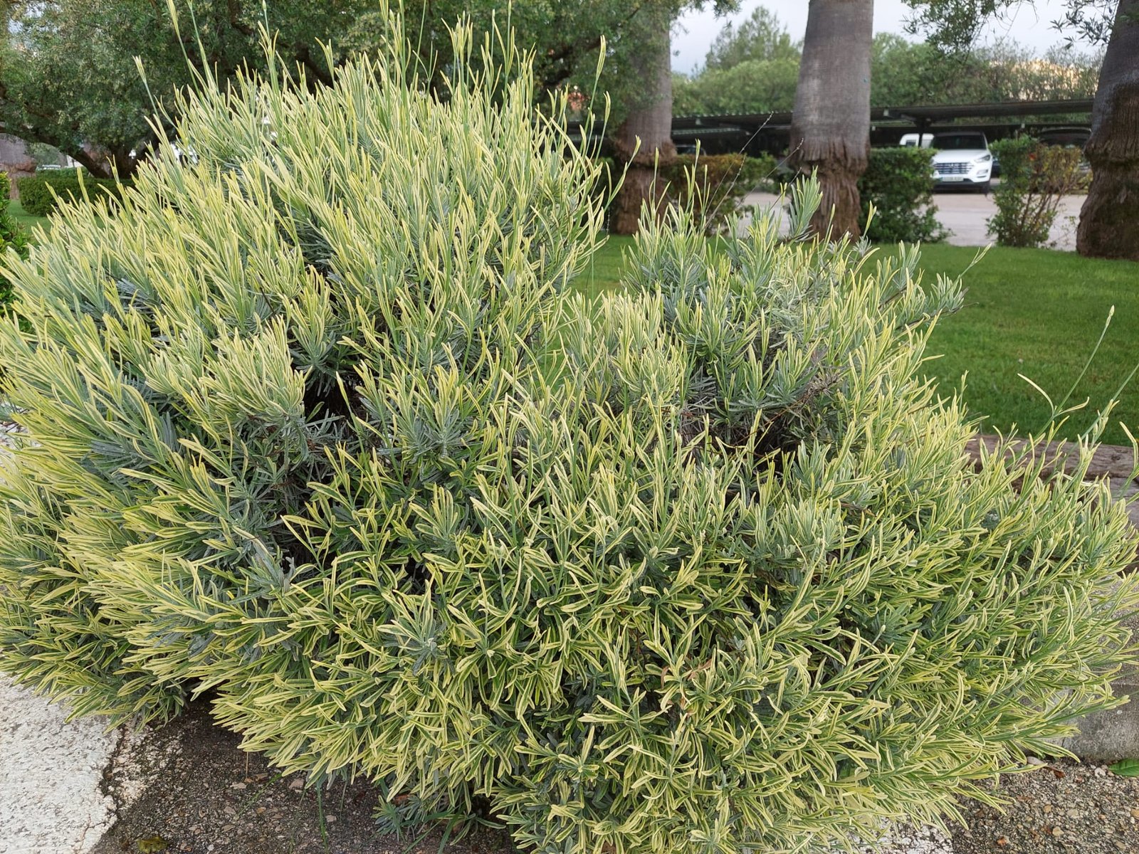 48023ade 6eb4 4ab9 8e1e c46e89188efa