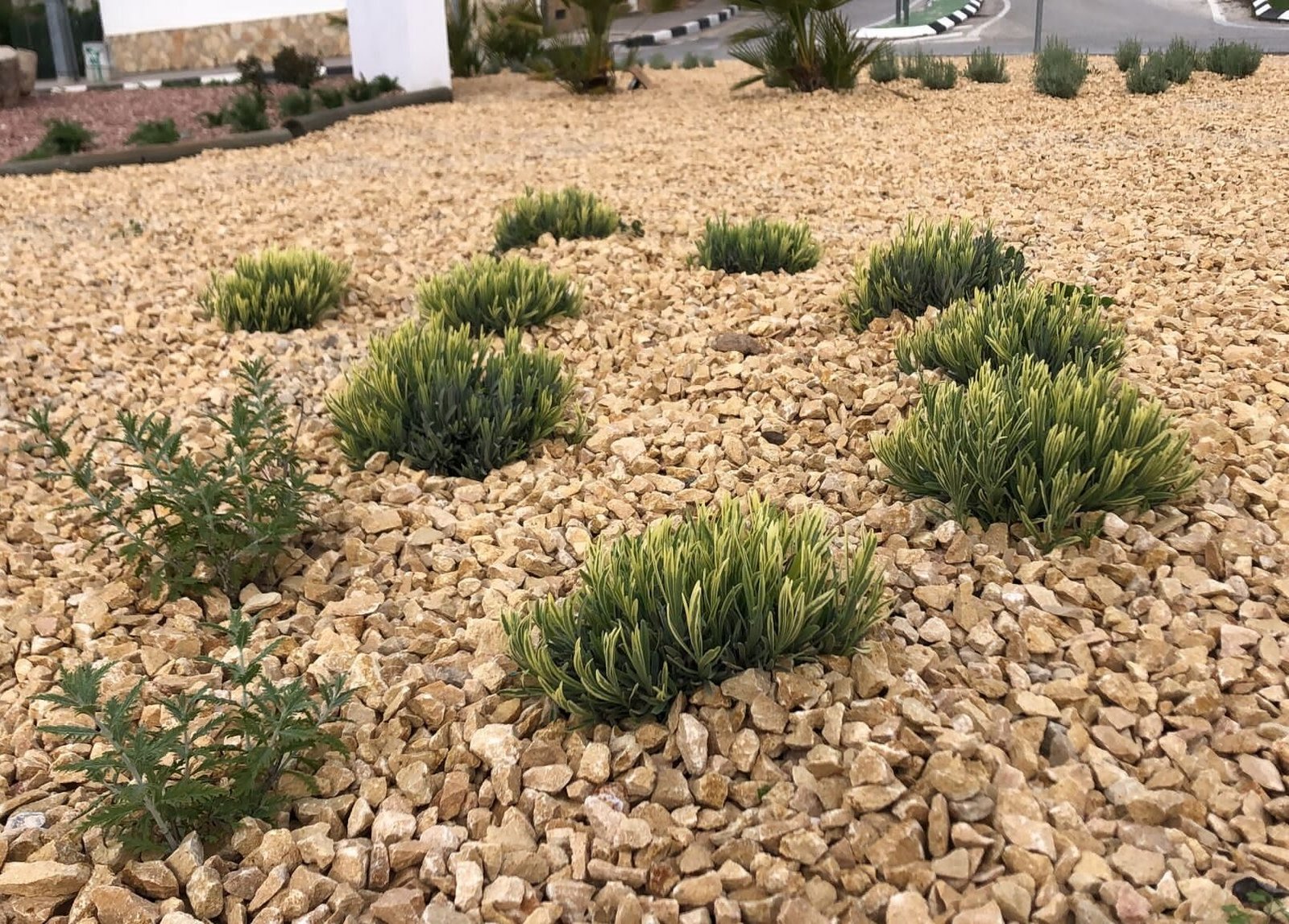 6f2831af 5ece 447a 9e7f 4bb915df9d06