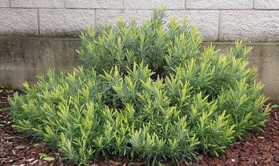 e9892d02 ce73 49b4 bc2d d7625305ccb8