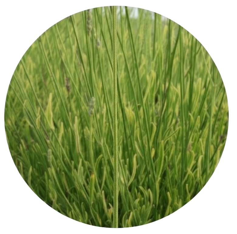 image 2025 10 26 (8)