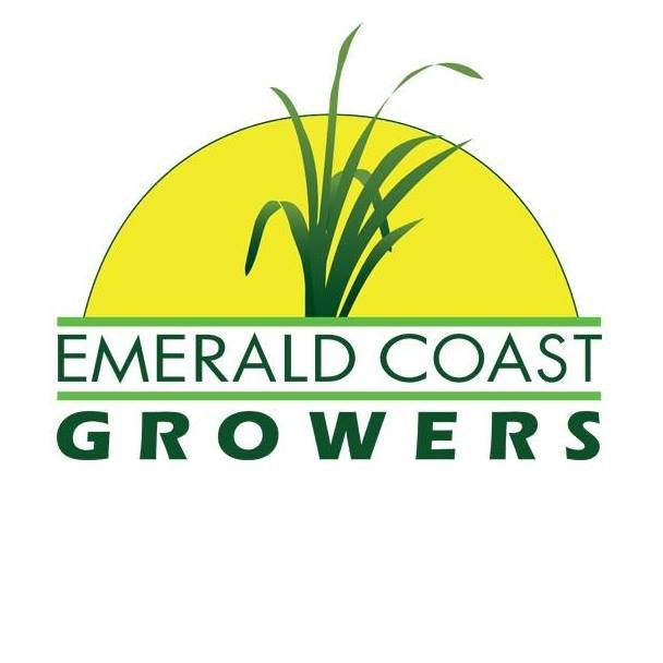 326596834 1139536613374368 5132943560162698638 n