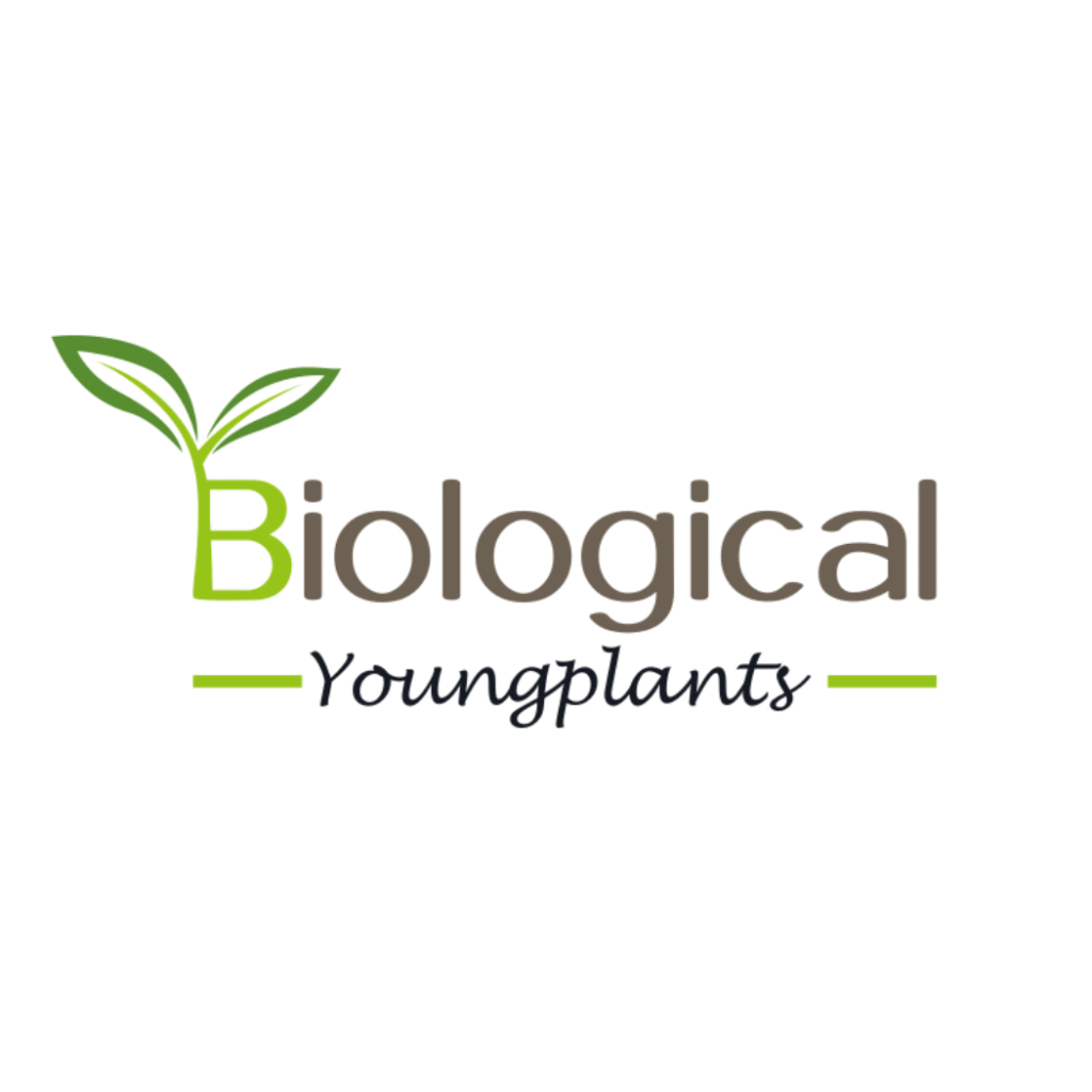 biological youngplants cuadrado